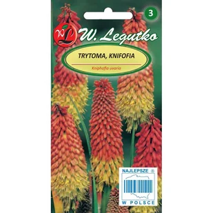 TRYTOMA KNIFOFIA wieloletnia NASIONA płonące pochodnie ROŚLINY OZDOBNE p. PL030/12/210/826A - Nasiona i cebule TRYTOMA KNIFOFIA wieloletnia NASIONA płonące pochodnie ROŚLINY OZDOBNE p. PL030/12/210/826A - Nasiona i cebule - miniaturka - grafika 1