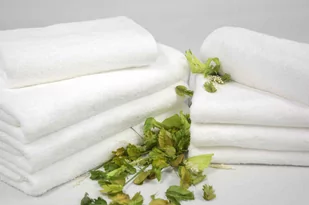 Faro Ręcznik Lemon 70x140 Frotte Ecru 500g - Ręczniki - miniaturka - grafika 1