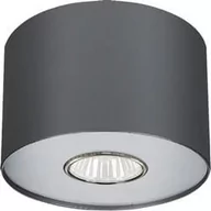 Lampy sufitowe - Nowodvorski POINT GRAPHITE SILVER / GRAPHITE WHITE S 6006 Oprawa natynkowa - miniaturka - grafika 1