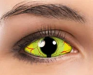 Soczewki kontaktowe - Maxvue Vision Crazy Sclera - Dragon Fly - miniaturka - grafika 1