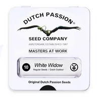 Nasiona i cebule - Nasiona konopi Dutch Passion - White Widow 10 szt. - miniaturka - grafika 1