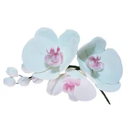 Dodatki do ciast w proszku - Gałązka Orchidei Białej Kwiat Na Tort Weselny Urodzinowy - miniaturka - grafika 1