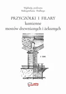 Technika - Przyczółki i filary kamienne mostów drewnianych i żelaznych. Reprint 1891 - miniaturka - grafika 1