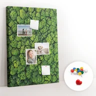 Tablice i flipcharty - Korkowy Organizer na Notatkl, Tablica 70x100 cm + Kolorowe Pinezki - Las drzewa natura - miniaturka - grafika 1