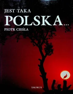 Jest taka Polska - Książki o kulturze i sztuce - miniaturka - grafika 1