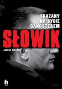 Publicystyka - Słowik Janusz Szostak - miniaturka - grafika 1