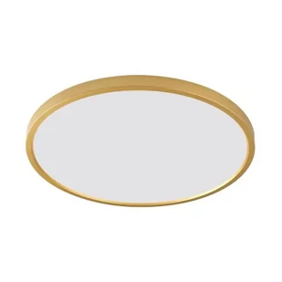 Cami D60 plafon 1xLED/48W złoty WM-BP1108-L-G - Lampy sufitowe Cami D60 plafon 1xLED/48W złoty WM-BP1108-L-G - Lampy sufitowe - miniaturka - grafika 1