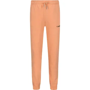 CALVIN KLEIN JEANS Spodnie dresowe | Regular Fit - Spodnie sportowe damskie - miniaturka - grafika 1
