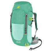 Plecaki - Jack Wolfskin Plecak PIONEER 22 PACK deep mint apm_2008222_4071 - miniaturka - grafika 1