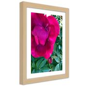 Plakaty - Plakat w ramie naturalnej, Różowy duży kwiat (Rozmiar 60x90) - miniaturka - grafika 1