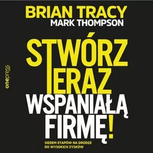 Stwórz teraz wspaniałą firmę! Siedem etapów na drodze do wysokich zysków - Audiobooki - biznes i ekonomia - miniaturka - grafika 1
