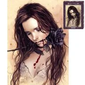 Puzzle - Heye 1000 EL Ciemna Róża - miniaturka - grafika 1