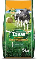Nasiona i cebule - Trawa kośno-pastwiskowa M-1 z motylkowymi 5 kg - miniaturka - grafika 1