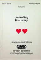 Biznes - Controlling finansowy - miniaturka - grafika 1