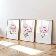 Obrazy i zdjęcia na płótnie - Pastelowe Różowe Piwonie - Zestaw trzech grafik botanicznych - miniaturka - grafika 1