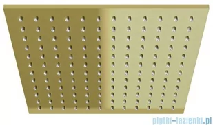 Kohlman Q25EGDB Deszczownica kwadratowa 25 x 25 cm GOLD BRUSHED - Deszczownice - miniaturka - grafika 1