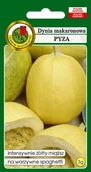 Nasiona i cebule - Dynia zwyczajna makaronowa Pyza 3 g PNOS - miniaturka - grafika 1