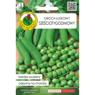 Nasiona i cebule - Groch łuskowy 6-tygodniowy nasiona Pnos - miniaturka - grafika 1