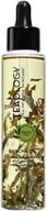Olejki do ciała i włosów - Teaology Teaology Bancha Oil Olejek do ciała 100ml - miniaturka - grafika 1