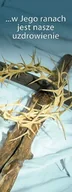 Ikony i obrazy sakralne - Baner na Wielki Post "...w Jego ranach jest.." 75x200cm - miniaturka - grafika 1