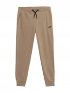 Spodnie męskie - SPODNIE DRESY CHŁOPIĘCE 4F 4FJAW23TTROM411 - miniaturka - grafika 1