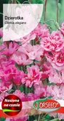 Nasiona i cebule - Dzierotka, klarkia różowa nasiona 1g Torseed - miniaturka - grafika 1