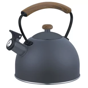 CZAJNIK Z GWIZDKIEM BRUNBESTE 2,5L 2461 SZARY - Czajniki na gaz - miniaturka - grafika 1
