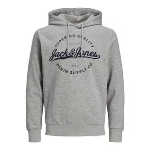 Bestseller A/S Jjstanli Sweat Hood męska bluza z kapturem, Light Grey Melange/Print:big, XXL - Bluzy męskie - miniaturka - grafika 1