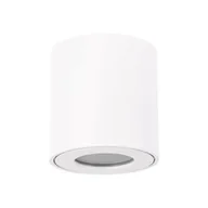 Lampy ogrodowe - Ideus Zewnętrzna LAMPA sufitowa ZORBA DWL 03954 metalowa OPRAWA tuba outdoor IP54 biała 03954 - miniaturka - grafika 1