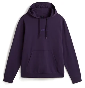 bluza męska VANS ESSENTIAL RELAXED PO HOODIE Gothic Grape - Bluzy męskie - miniaturka - grafika 1