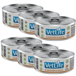 Farmina Vet Life Convalescence Cat 6x85g - Mokra karma dla kotów - miniaturka - grafika 1