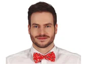 Dodatki do strojów karnawałowych - Mucha świąteczna na Boże Narodzenie - miniaturka - grafika 1