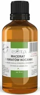Suplementy naturalne - Macerat z Kocanki (Olej), Esent, 50 ml - miniaturka - grafika 1