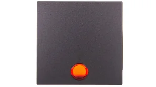 Berker Kwadrat/B3/B7 antracyt klawisz pojedynczy podświetlany B_16211606 - Inne akcesoria elektryczne - miniaturka - grafika 2