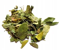 Herbata - Moringa Oleifera Liść 1kg - miniaturka - grafika 1