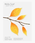 Notesy i bloczki - Karteczki samoprzylepne Brzoza żółta L - APPREE - miniaturka - grafika 1