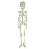 Halloween - Szkielet fluorescencyjny plastikowy 75cm na Halloween - miniaturka - grafika 1