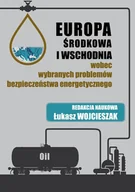 Technika - Europa Środkowa i Wschodnia wobec wybranych problemów bezpieczeństwa energetycznego Wojcieszak Łukasz - miniaturka - grafika 1