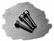 Śruby i nakrętki - M2,5x14 ŚRUBA AMPULOWA IMBUSOWA WALCOWA NIERDZEWNA 912 (50) - miniaturka - grafika 1