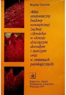 Książki medyczne - Atlas anatomiczny budowy wewnętrznej żuchwy człowieka - miniaturka - grafika 1