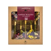 Herbata - DARY NATURY Herbatka liofilizowana Leśna Malina EKO, 5szt. - >>> DARMOWA od 149zł <<<- - miniaturka - grafika 1