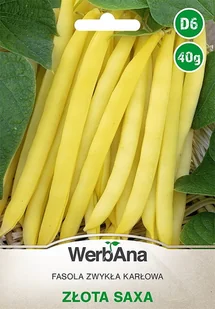 Fasola Zlota Saxa karłowa wczesna 40g nasiona - WegAna - Nasiona i cebule - miniaturka - grafika 1