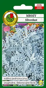 Mrozy Silverdust 0.2 g PNOS - Nasiona i cebule - miniaturka - grafika 1