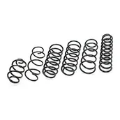 Sprężyny zawieszenia - BILSTEIN SPRĘŻYNA ZAWIESZENIA TIGUAN BI 37-242107 - miniaturka - grafika 1