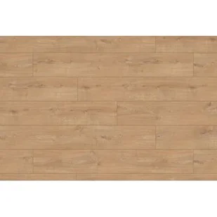 Krono Original Panel podłogowy Dąb Sherwood GT AC4 8 mm - Panele podłogowe - miniaturka - grafika 1