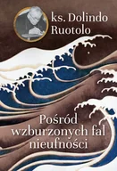 Religia i religioznawstwo - pośród wzburzonych fal nieufności - miniaturka - grafika 1
