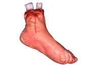 Gadżety na imprezę - SZTUCZNA STOPA NOGA Z KOŚCIĄ HALLOWEEN UCIĘTA - miniaturka - grafika 1