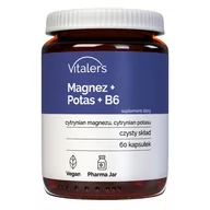 Witaminy i minerały - Vitaler's Magnez 100 mg + Potas 150 mg + B6 10 mg - 60 kapsułek - miniaturka - grafika 1
