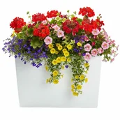 Donice - HowHomely Donica Bloom Riflo biały h36,2x56,1cm - miniaturka - grafika 1