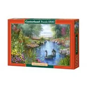 Puzzle - Castorland Puzzle 1500 Czarne łabędzie CASTOR - miniaturka - grafika 1